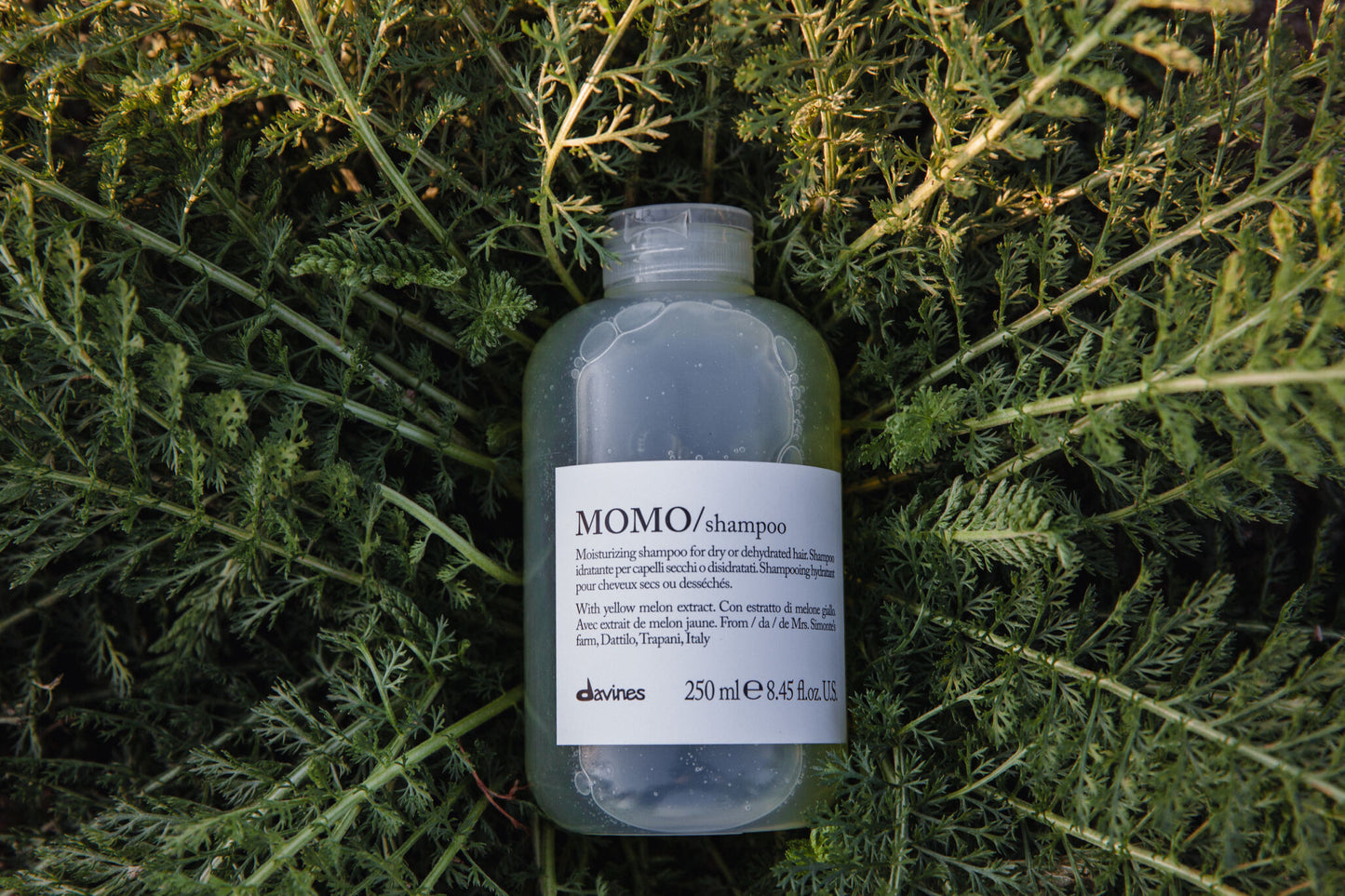 Davines - MOMO Shampoo